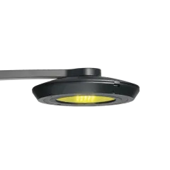 09-FG MIDI-LISA-YELLOW